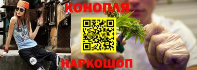 индика Можайск