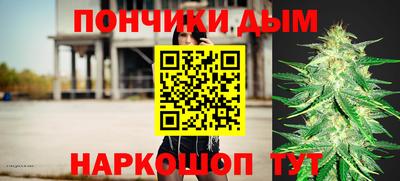 индика Можайск