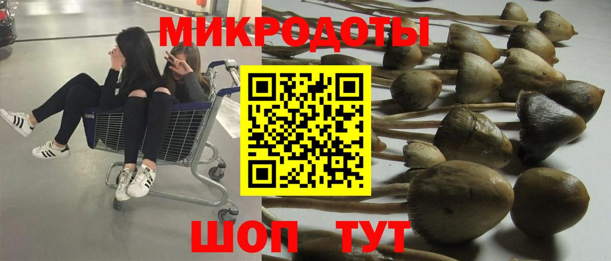 Унеча  Галлюциногенные грибы Cubensis  Вход с VPN 